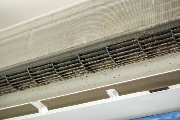 Best Affordable Air Duct Cleaning  in Clarkston, GA